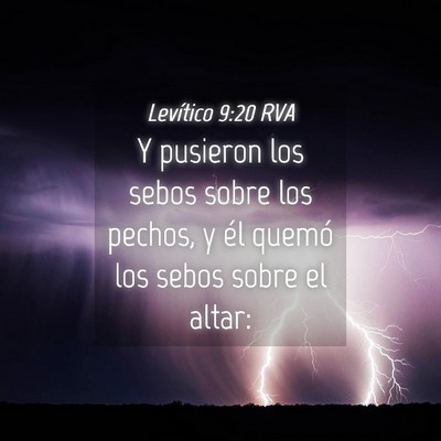 Picture 04 - Levítico 9:20 RVA - Y pusieron los sebos sobre los pechos, y él - Bible Verse Picture