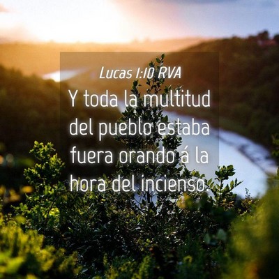 Picture 04 - Lucas 1:10 RVA - Y toda la multitud del pueblo estaba fuera orando - Bible Verse Picture