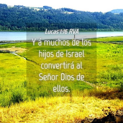 Picture 04 - Lucas 1:16 RVA - Y á muchos de los hijos de Israel convertirá al - Bible Verse Picture