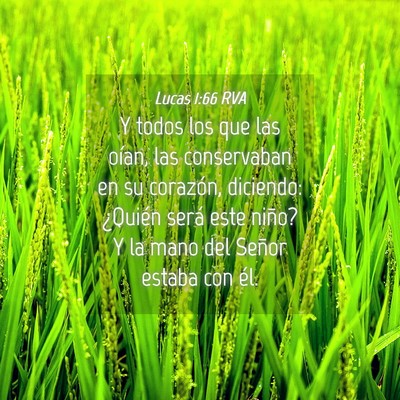 Picture 04 - Lucas 1:66 RVA - Y todos los que las oían, las conservaban en su - Bible Verse Picture
