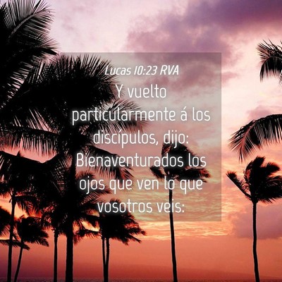 Picture 04 - Lucas 10:23 RVA - Y vuelto particularmente á los discípulos, - Bible Verse Picture