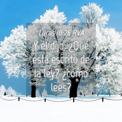 Picture 04 - Lucas 10:26 RVA - Y él dijo: ¿Qué está escrito de la ley? - Bible Verse Picture