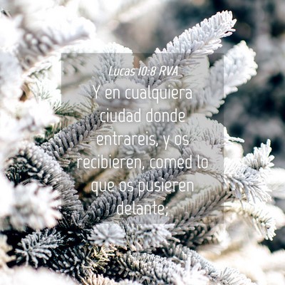 Picture 04 - Lucas 10:8 RVA - Y en cualquiera ciudad donde entrareis, y os - Bible Verse Picture