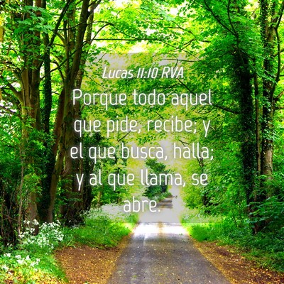 Picture 04 - Lucas 11:10 RVA - Porque todo aquel que pide, recibe; y el que - Bible Verse Picture