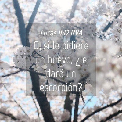 Picture 04 - Lucas 11:12 RVA - O, si le pidiere un huevo, ¿le dará un - Bible Verse Picture