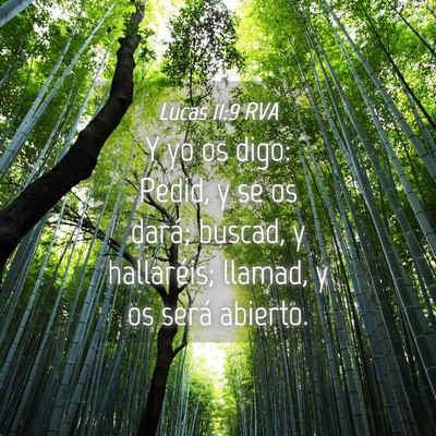 Picture 04 - Lucas 11:9 RVA - Y yo os digo: Pedid, y se os dará; buscad, y - Bible Verse Picture