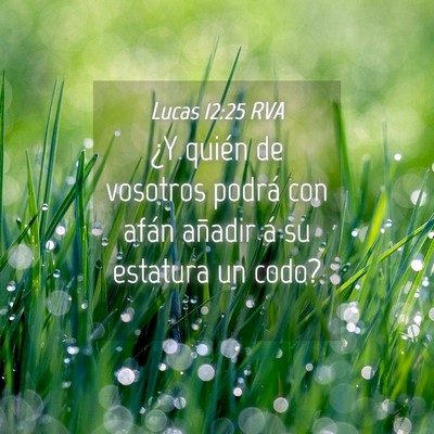 Picture 04 - Lucas 12:25 RVA - ¿Y quién de vosotros podrá con afán añadir - Bible Verse Picture