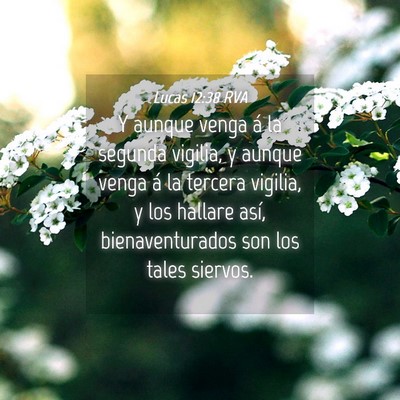 Picture 04 - Lucas 12:38 RVA - Y aunque venga á la segunda vigilia, y aunque - Bible Verse Picture