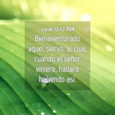 Picture 04 - Lucas 12:43 RVA - Bienaventurado aquel siervo, al cual, cuando el - Bible Verse Picture