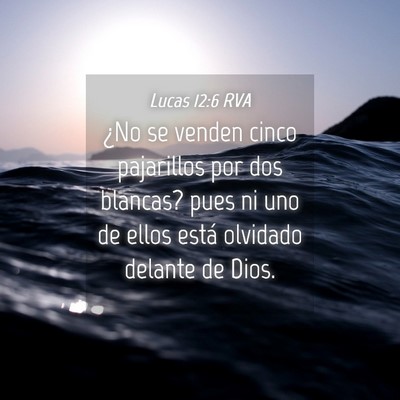Picture 04 - Lucas 12:6 RVA - ¿No se venden cinco pajarillos por dos blancas? - Bible Verse Picture