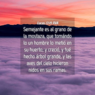 Picture 04 - Lucas 13:19 RVA - Semejante es al grano de la mostaza, que tomándo - Bible Verse Picture