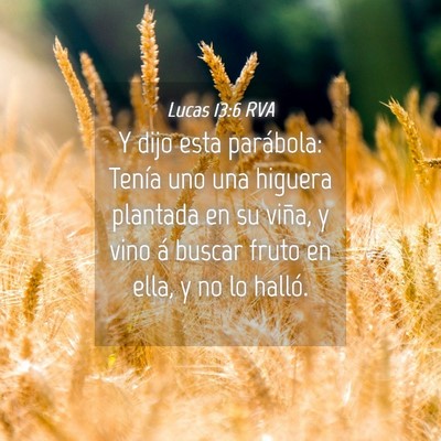 Picture 04 - Lucas 13:6 RVA - Y dijo esta parábola: Tenía uno una higuera - Bible Verse Picture