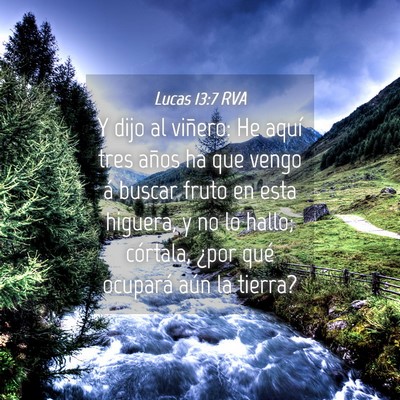Picture 04 - Lucas 13:7 RVA - Y dijo al viñero: He aquí tres años ha que - Bible Verse Picture