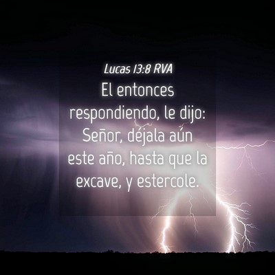Picture 04 - Lucas 13:8 RVA - El entonces respondiendo, le dijo: Señor, - Bible Verse Picture