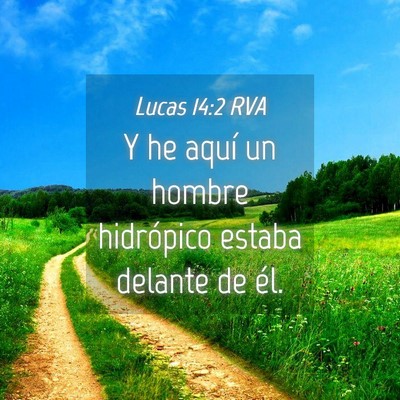Picture 04 - Lucas 14:2 RVA - Y he aquí un hombre hidrópico estaba delante de - Bible Verse Picture