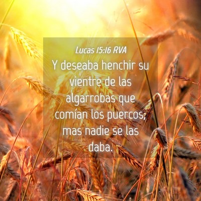 Picture 04 - Lucas 15:16 RVA - Y deseaba henchir su vientre de las algarrobas - Bible Verse Picture