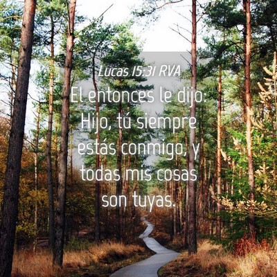 Picture 04 - Lucas 15:31 RVA - El entonces le dijo: Hijo, tú siempre estás - Bible Verse Picture