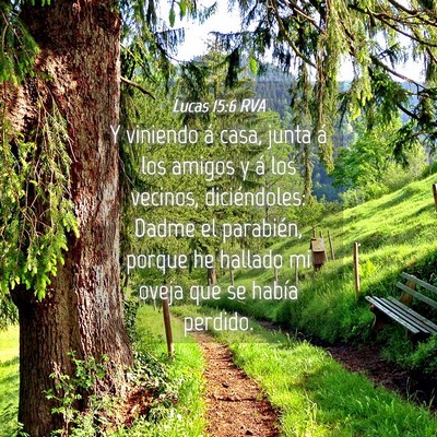 Picture 04 - Lucas 15:6 RVA - Y viniendo á casa, junta á los amigos y á los - Bible Verse Picture