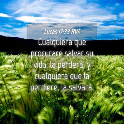 Picture 04 - Lucas 17:33 RVA - Cualquiera que procurare salvar su vida, la - Bible Verse Picture