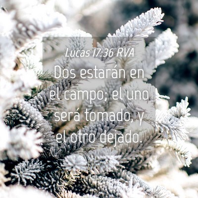 Picture 04 - Lucas 17:36 RVA - Dos estarán en el campo; el uno será tomado, y - Bible Verse Picture