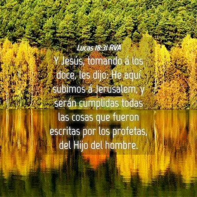 Picture 04 - Lucas 18:31 RVA - Y Jesús, tomando á los doce, les dijo: He aquí - Bible Verse Picture