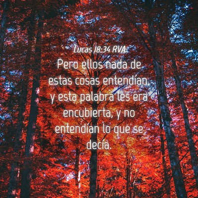 Picture 04 - Lucas 18:34 RVA - Pero ellos nada de estas cosas entendían, y esta - Bible Verse Picture