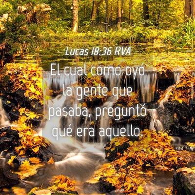 Picture 04 - Lucas 18:36 RVA - El cual como oyó la gente que pasaba, preguntó - Bible Verse Picture