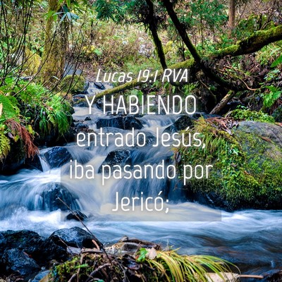 Picture 04 - Lucas 19:1 RVA - Y HABIENDO entrado Jesús, iba pasando por - Bible Verse Picture