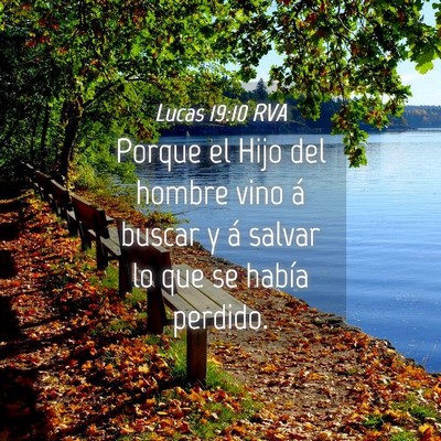 Picture 04 - Lucas 19:10 RVA - Porque el Hijo del hombre vino á buscar y á - Bible Verse Picture