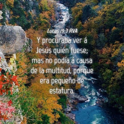 Picture 04 - Lucas 19:3 RVA - Y procuraba ver á Jesús quién fuese; mas no - Bible Verse Picture