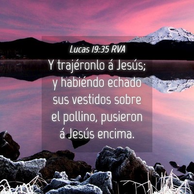 Picture 04 - Lucas 19:35 RVA - Y trajéronlo á Jesús; y habiéndo echado sus - Bible Verse Picture