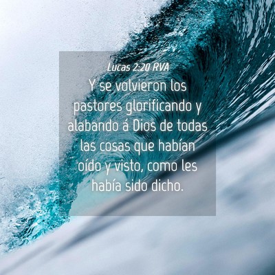 Picture 04 - Lucas 2:20 RVA - Y se volvieron los pastores glorificando y - Bible Verse Picture