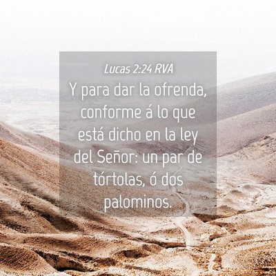 Picture 04 - Lucas 2:24 RVA - Y para dar la ofrenda, conforme á lo que está - Bible Verse Picture