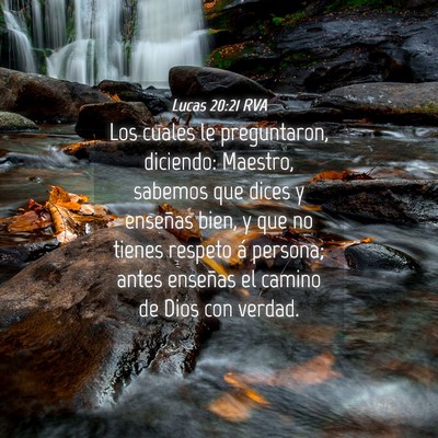Picture 04 - Lucas 20:21 RVA - Los cuales le preguntaron, diciendo: Maestro, - Bible Verse Picture