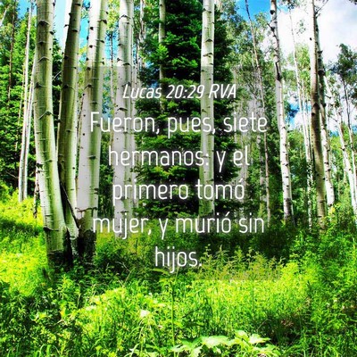 Picture 04 - Lucas 20:29 RVA - Fueron, pues, siete hermanos: y el primero tomó - Bible Verse Picture