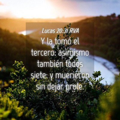 Picture 04 - Lucas 20:31 RVA - Y la tomó el tercero: asimismo también todos - Bible Verse Picture