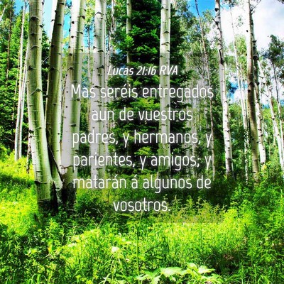 Picture 04 - Lucas 21:16 RVA - Mas seréis entregados aun de vuestros padres, y - Bible Verse Picture