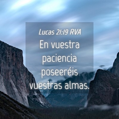 Picture 04 - Lucas 21:19 RVA - En vuestra paciencia poseeréis vuestras - Bible Verse Picture