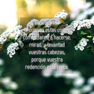 Picture 04 - Lucas 21:28 RVA - Y cuando estas cosas comenzaren á hacerse, - Bible Verse Picture