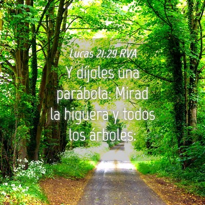Picture 04 - Lucas 21:29 RVA - Y díjoles una parábola: Mirad la higuera y - Bible Verse Picture