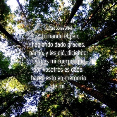 Picture 04 - Lucas 22:19 RVA - Y tomando el pan, habiendo dado gracias, partió, - Bible Verse Picture