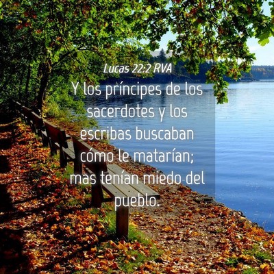 Picture 04 - Lucas 22:2 RVA - Y los príncipes de los sacerdotes y los escribas - Bible Verse Picture