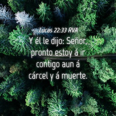 Picture 04 - Lucas 22:33 RVA - Y él le dijo: Señor, pronto estoy á ir contigo - Bible Verse Picture