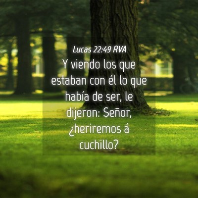 Picture 04 - Lucas 22:49 RVA - Y viendo los que estaban con él lo que había de - Bible Verse Picture