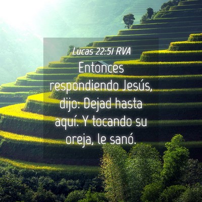 Picture 04 - Lucas 22:51 RVA - Entonces respondiendo Jesús, dijo: Dejad hasta - Bible Verse Picture