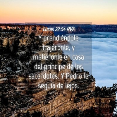 Picture 04 - Lucas 22:54 RVA - Y prendiéndole trajéronle, y metiéronle en - Bible Verse Picture