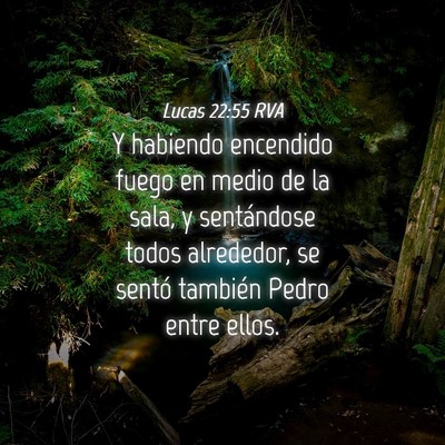 Picture 04 - Lucas 22:55 RVA - Y habiendo encendido fuego en medio de la sala, y - Bible Verse Picture