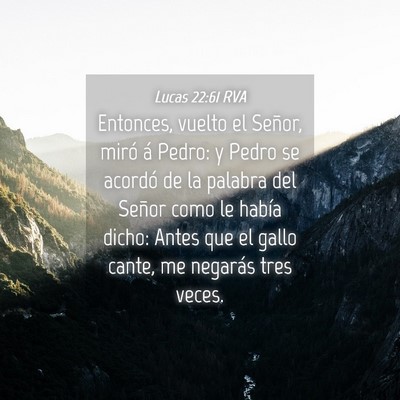 Picture 04 - Lucas 22:61 RVA - Entonces, vuelto el Señor, miró á Pedro: y - Bible Verse Picture