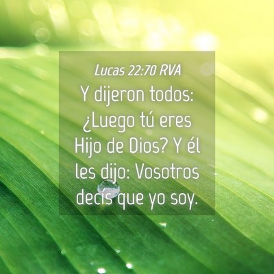 Picture 04 - Lucas 22:70 RVA - Y dijeron todos: ¿Luego tú eres Hijo de Dios? Y - Bible Verse Picture