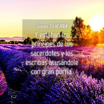 Picture 04 - Lucas 23:10 RVA - Y estaban los príncipes de los sacerdotes y los - Bible Verse Picture